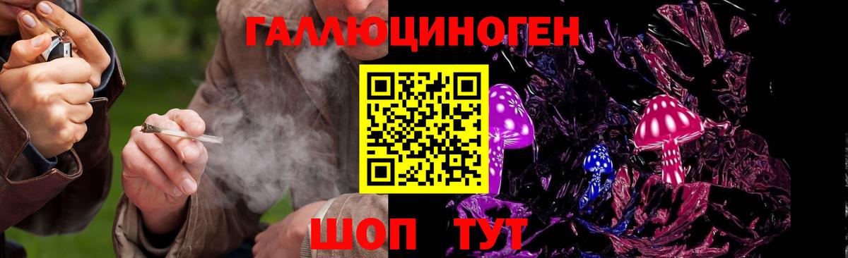 Отрадный  Псилоцибиновые грибы MAGIC MUSHROOMS  Вход с VPN  Галлюциногенные грибы GOLDEN TEACHER 